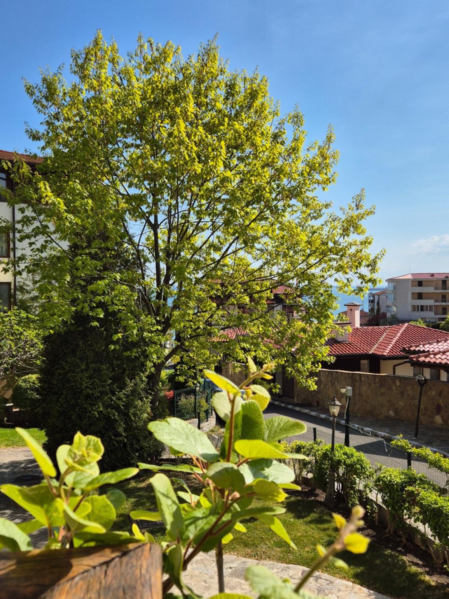 Апартамент Ния, Райска Градина / Garden Of Eden Sveti Vlas Esterno foto